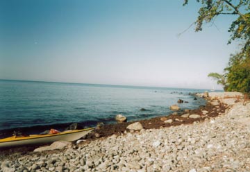 moen2004